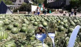 天津美院吃瓜爆料视频,校园风云再起